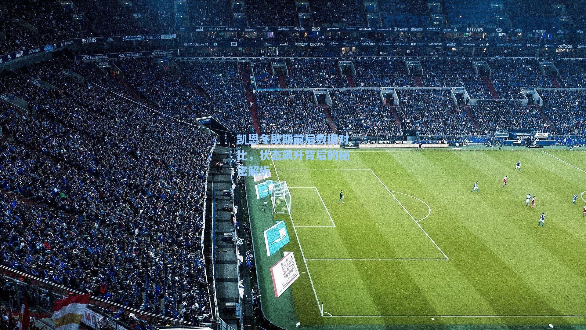 海星体育官网-凯恩冬歇期前后数据对比，状态飙升背后的秘密解析